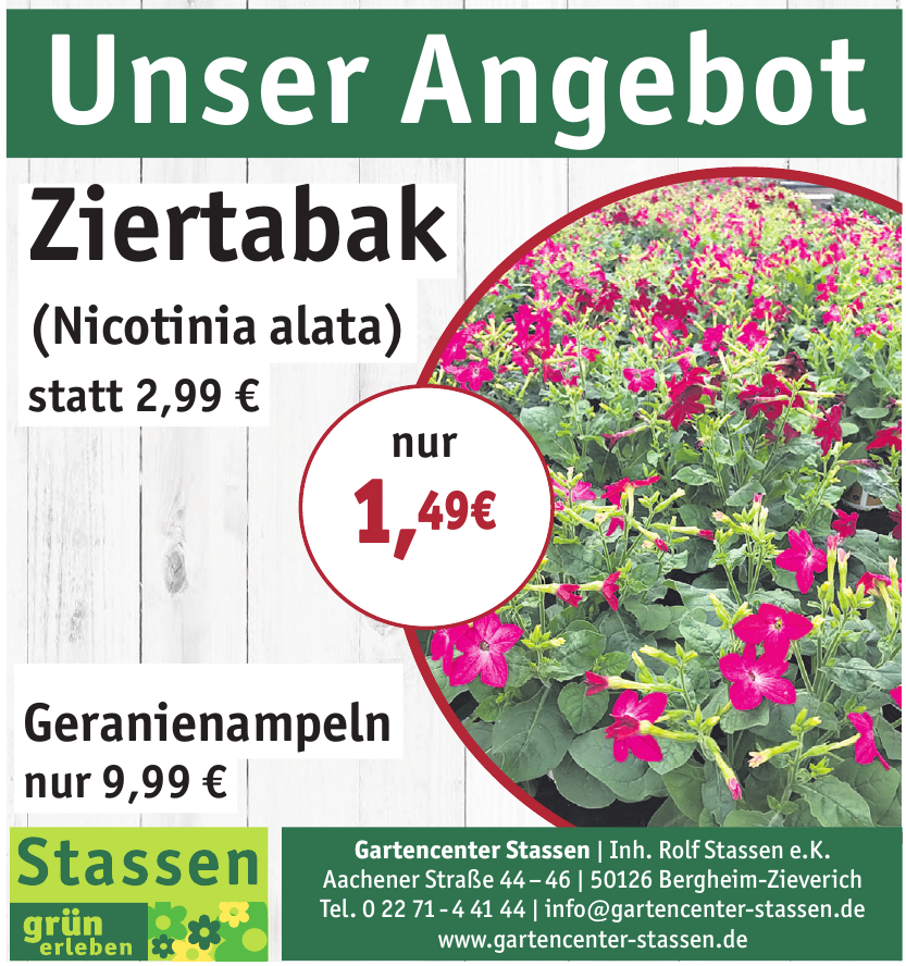 Gartencenter Stassen Gartencenter Stassen