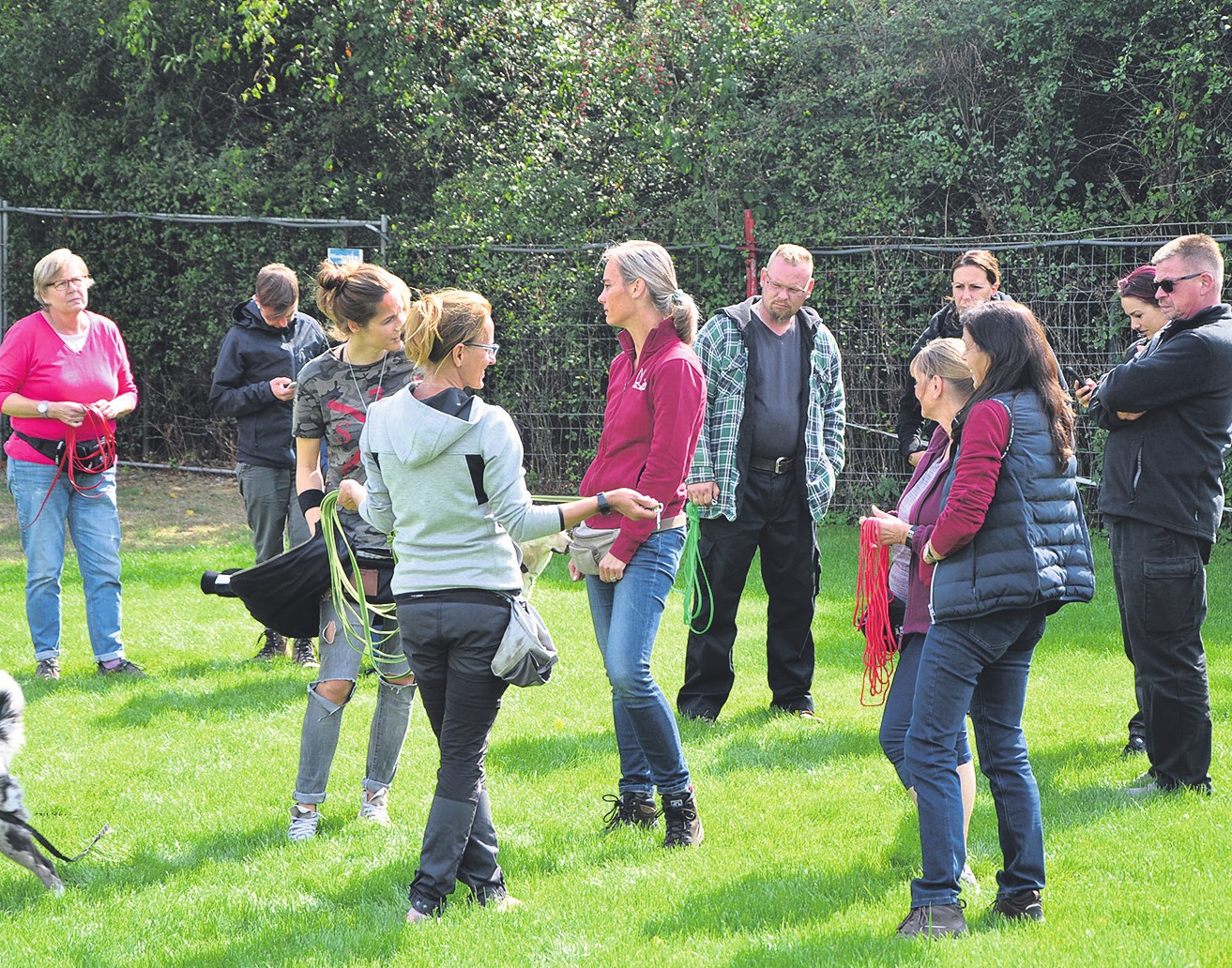 Kölner HundeAkademie ist die Ausbildungsstätte für Hundetrainer