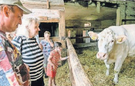 Die Landwirtschaft zeigt sich beim Tag des Hofes. Foto: Kutter (Archiv) Die Landwirtschaft zeigt sich beim Tag des Hofes. Foto: Kutter (Archiv)