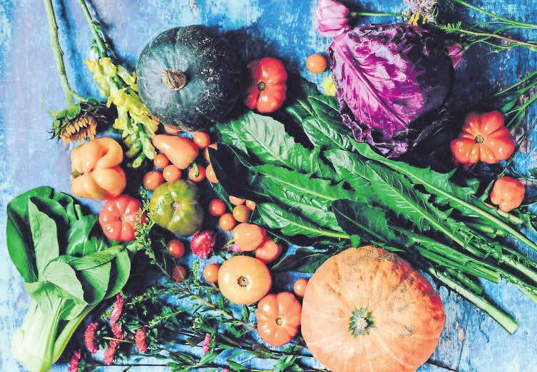 Auch im Herbst kann eine große, vielfältige Ernte eingebracht werden. Foto: Pexels Auch im Herbst kann eine große, vielfältige Ernte eingebracht werden. Foto: Pexels