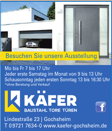 Käfer Baustahl - Tore - Türen