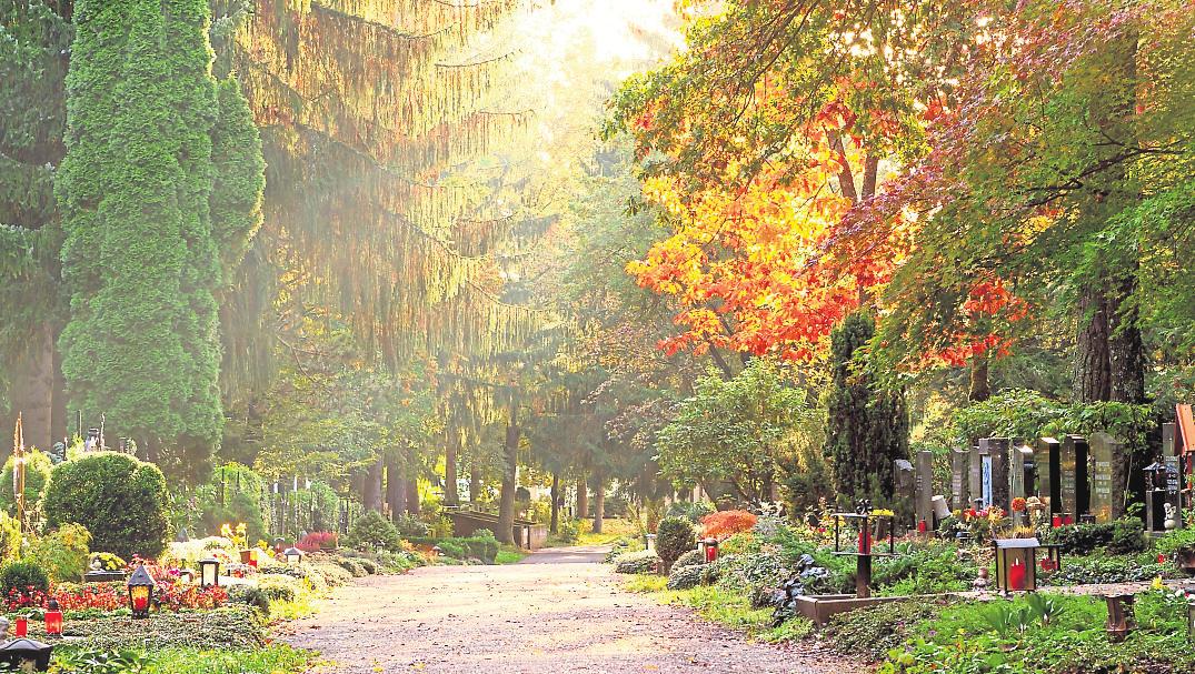 Stille Orte für Ruhe, Trauer und Erholung. Foto: stockpics/StockAdobe Stille Orte für Ruhe, Trauer und Erholung. Foto: stockpics/StockAdobe