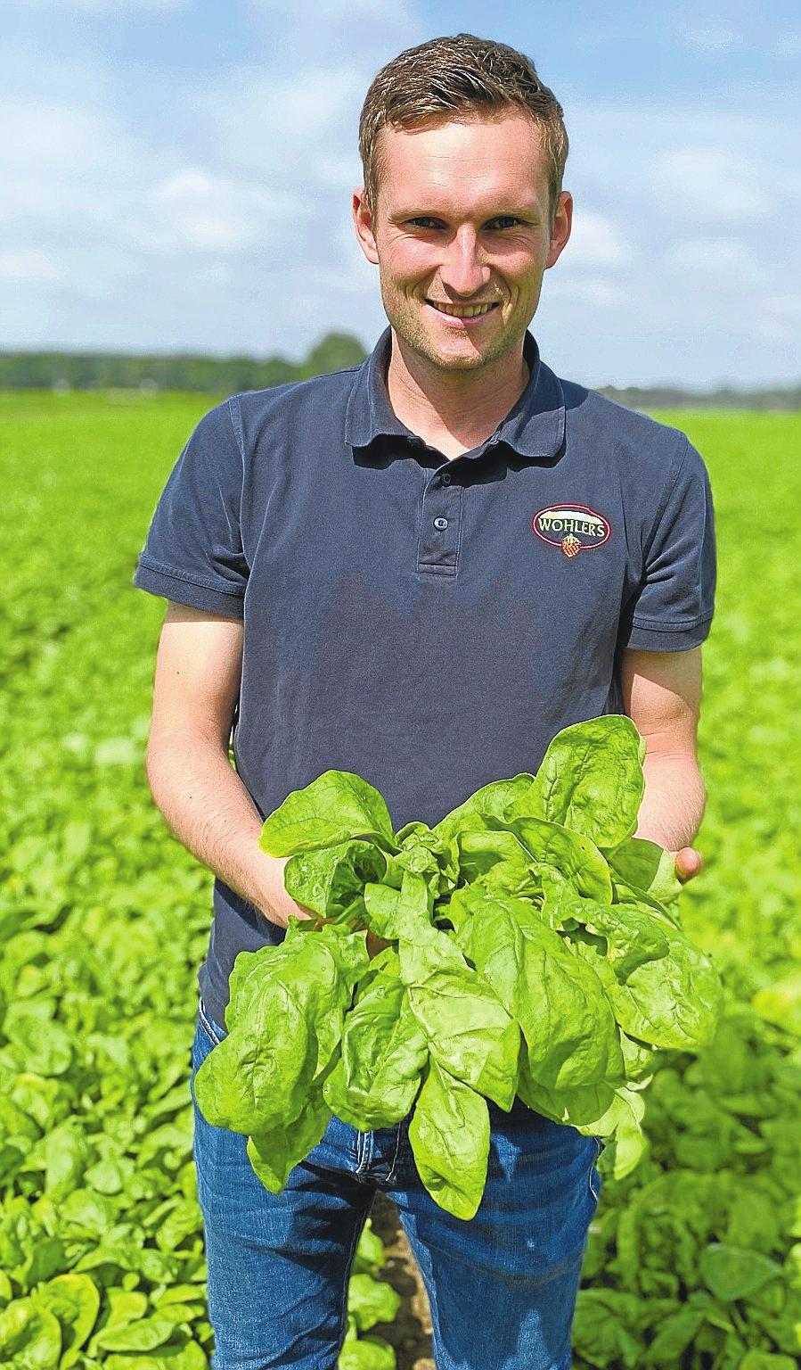 1300 Tonnen pro Jahr: Andre Wohlers präsentiert die üppigen Spinatpflanzen des Betriebs.