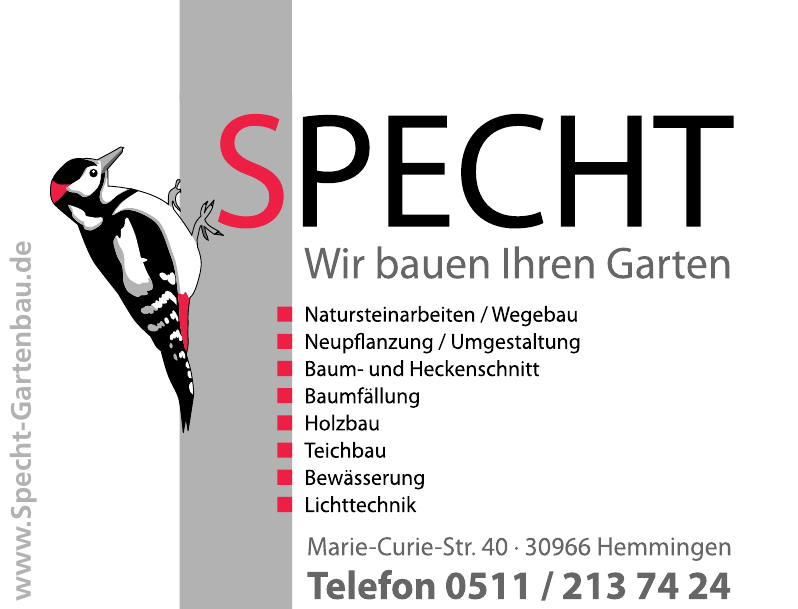 Specht Specht