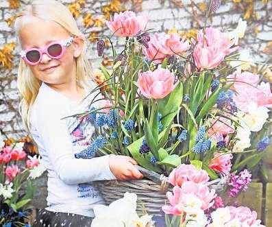 Wer jetzt Blumenzwiebeln pflanzt, kann sich im Frühjahr über viel Farbe im Garten freuen. Wer jetzt Blumenzwiebeln pflanzt, kann sich im Frühjahr über viel Farbe im Garten freuen.