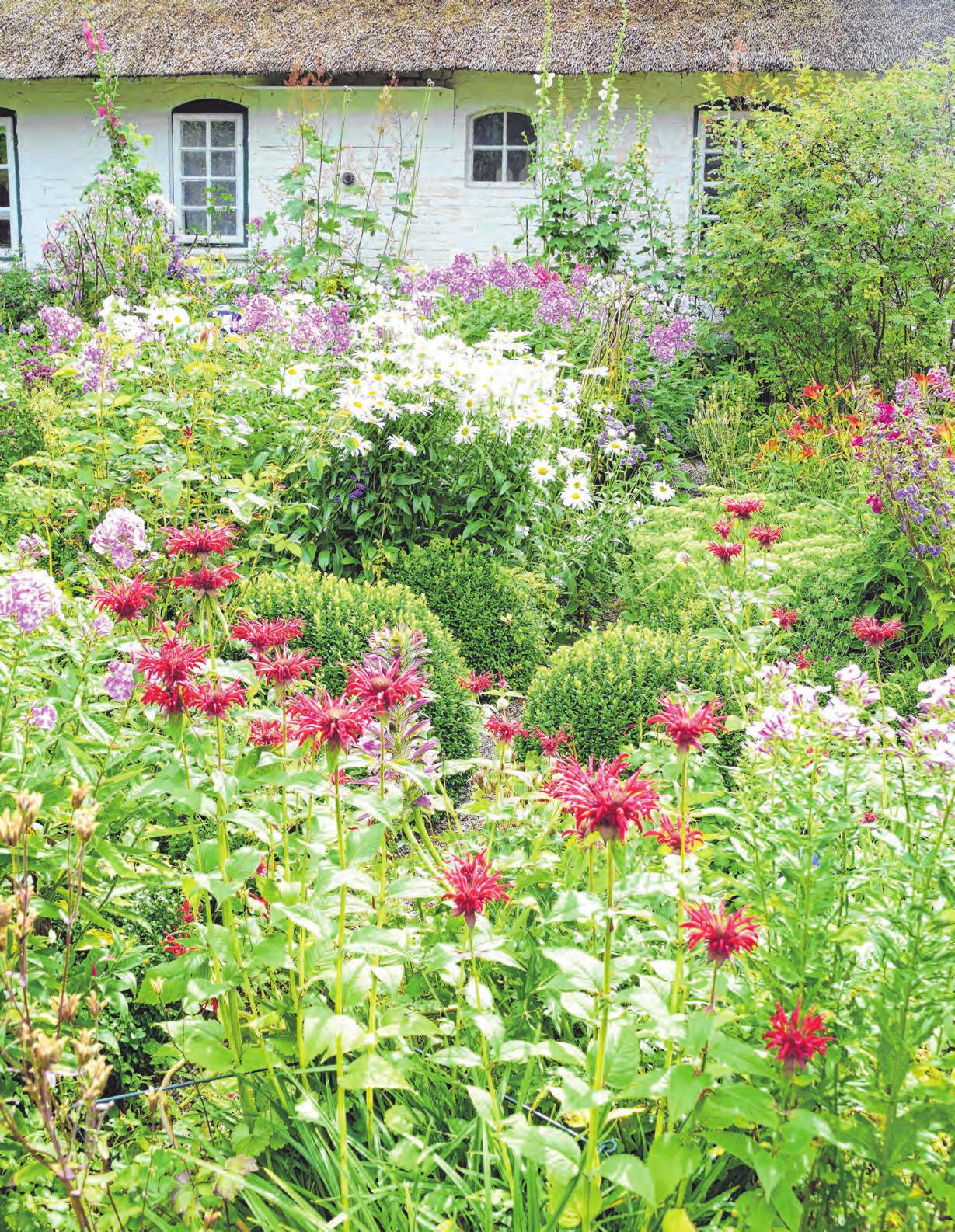 Wo viele verschiedene Pflanzen blühen, finden Insekten Nahrung. Dann summt und brummt es im Garten. Foto: Sulzberger/BLV, © hydebrink – stock.adobe.com Wo viele verschiedene Pflanzen blühen, finden Insekten Nahrung. Dann summt und brummt es im Garten. Foto: Sulzberger/BLV, © hydebrink – stock.adobe.com
