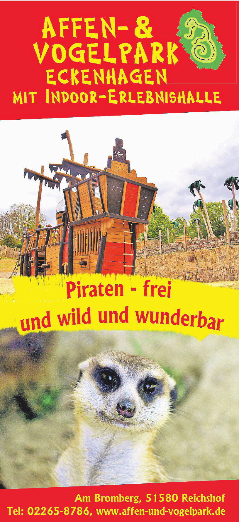 Piraten Wild Und Frei Und Wunderbar Koln Bild