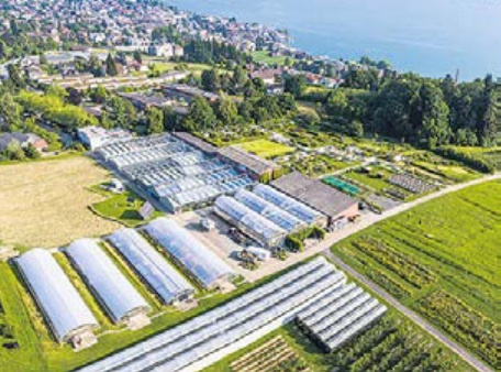 Tolle Lage: Campus Grüental der ZHAW in Wädenswil. Foto: ZHAW, Frank Brüderli Tolle Lage: Campus Grüental der ZHAW in Wädenswil. Foto: ZHAW, Frank Brüderli