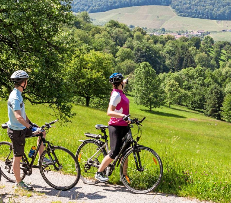 Die Radregion an Kocher, Jagst und Neckar ist wie geschaffen für aktive Entdeckungen. Foto: djd/Touristikgemeinschaft HeilbronnerLand/Thomas Rathay Die Radregion an Kocher, Jagst und Neckar ist wie geschaffen für aktive Entdeckungen. Foto: djd/Touristikgemeinschaft HeilbronnerLand/Thomas Rathay