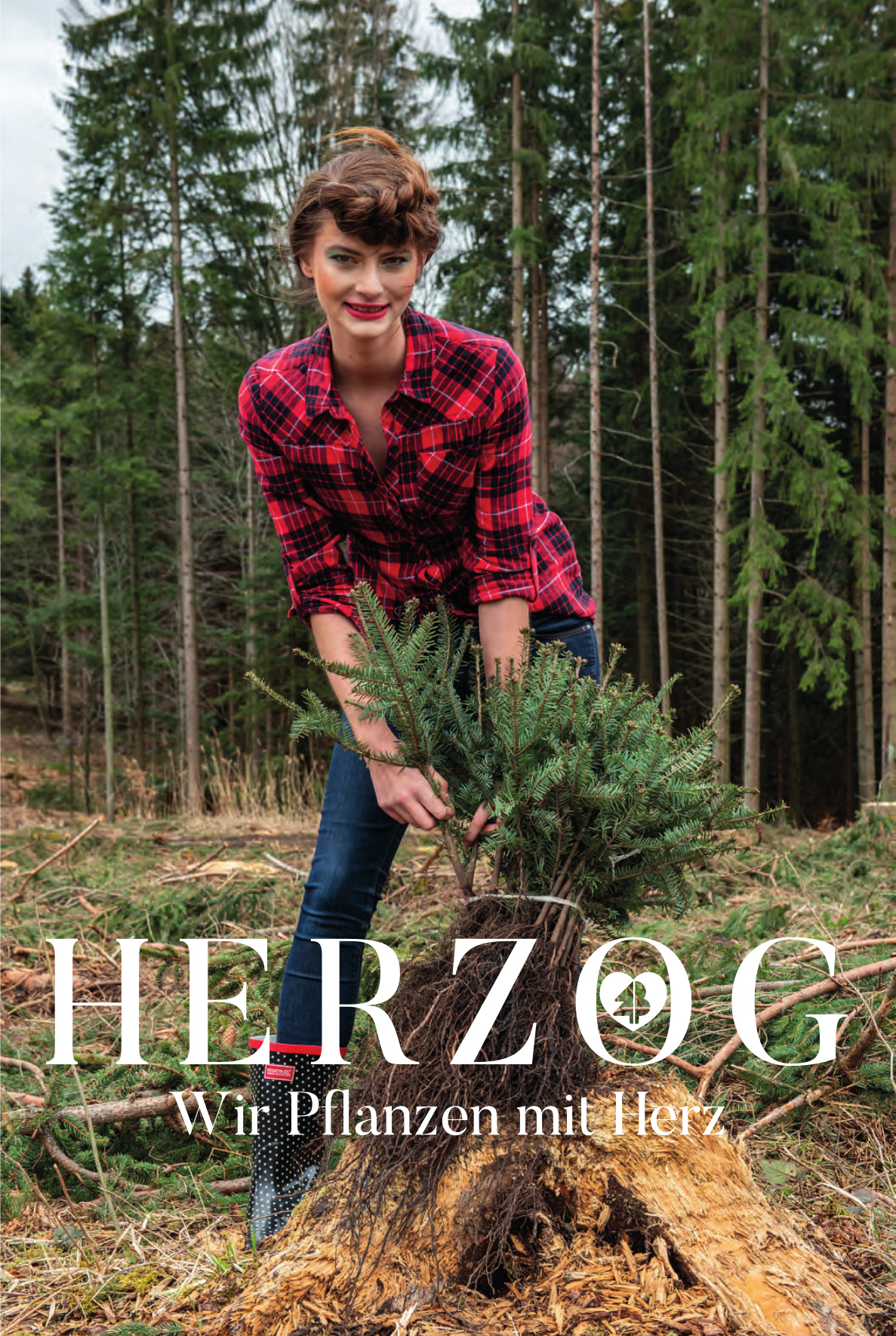 Herzog Herzog