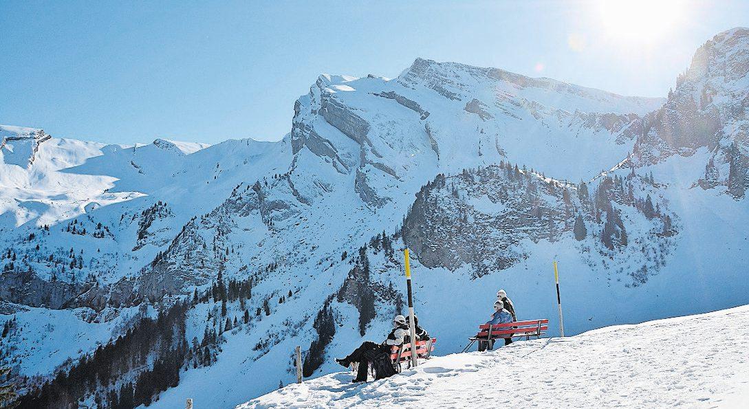 Die Goldi-Familiensafari führt durch eine winterliche Traumlandschaft. Bild: NC