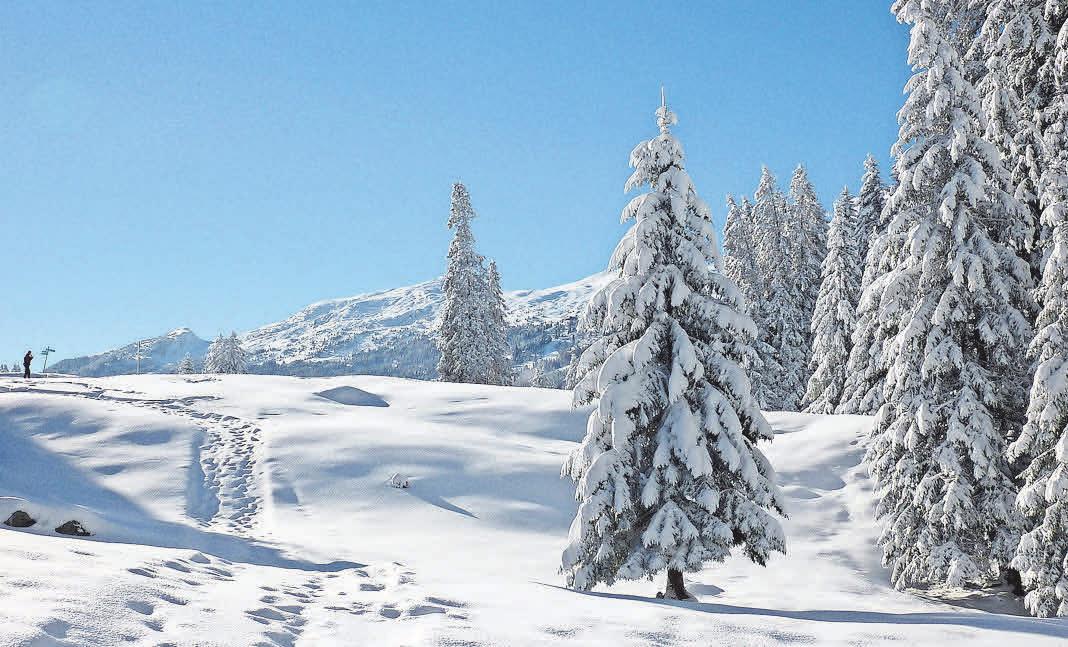 Schritte im Schnee sind ein Wohlklang für die Ohren. Foto: Pixabay Schritte im Schnee sind ein Wohlklang für die Ohren. Foto: Pixabay