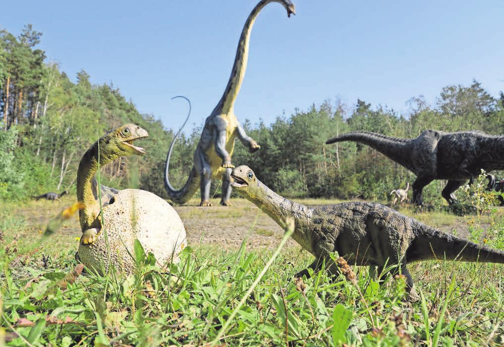Zwei neugierige Diplodocus-Babys. Zwei neugierige Diplodocus-Babys.