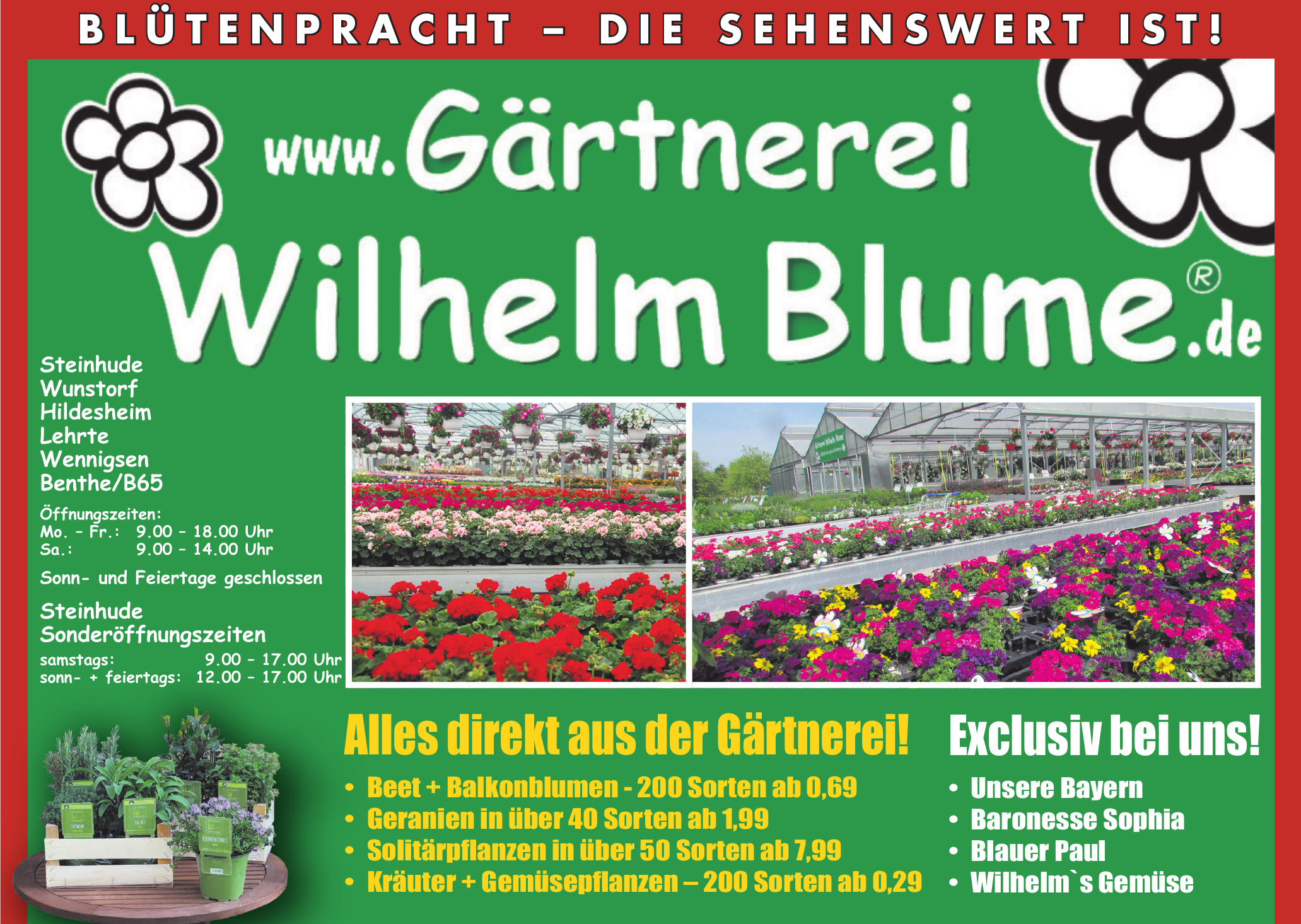 Gärtnerei Wilhelm Blume Gärtnerei Wilhelm Blume
