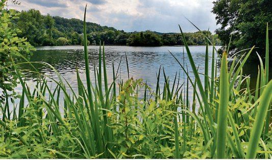 Der Baggersee ist weit über die Ortsgrenzen hinaus bekannt. Der Baggersee ist weit über die Ortsgrenzen hinaus bekannt.