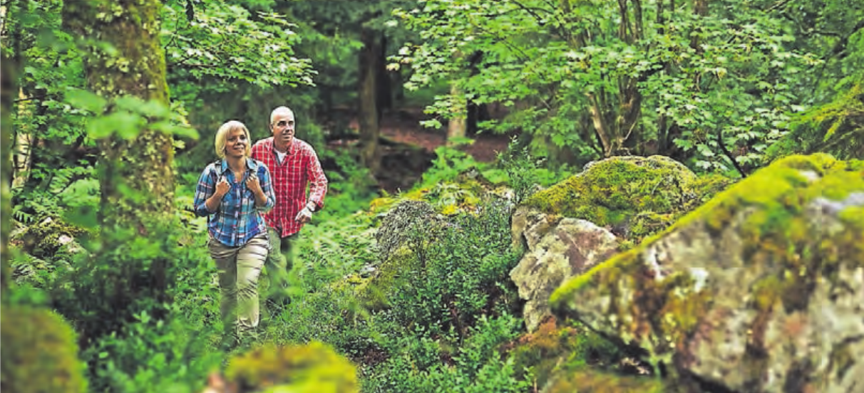 Über verwunschene Pfade und Felsen führt der Wanderweg zur Kirschweiler Festung. Über verwunschene Pfade und Felsen führt der Wanderweg zur Kirschweiler Festung.