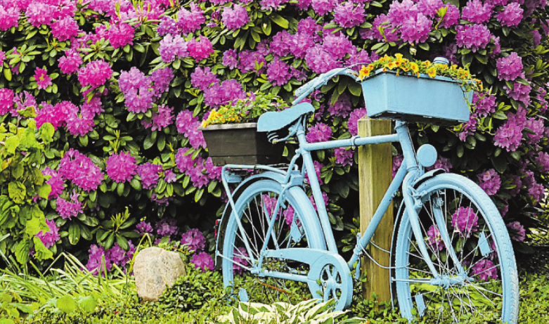 Stillgelegtes Nostalgie-Zweirad dient als Stativ für Blumen