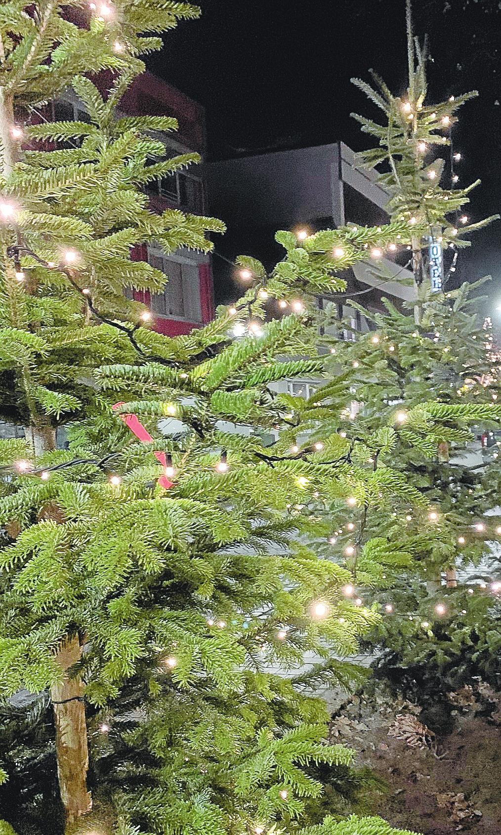 Absolut stimmungsvoll: Weihnachtsbeleuchtung in der Vechtaer Innenstadt. Foto: Moin Vechta