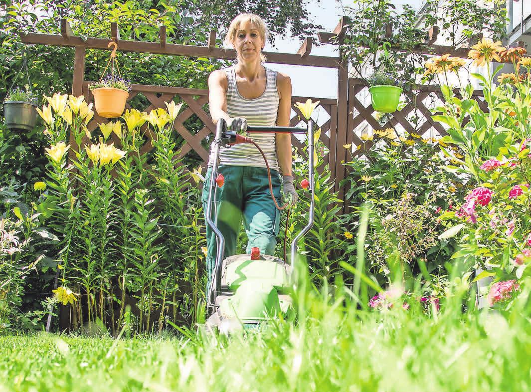 Freunde oder Nachbarn können bei einer längeren Abwesenheit der Hausbesitzer dafür sorgen, dass der Garten gepflegt wirkt. Freunde oder Nachbarn können bei einer längeren Abwesenheit der Hausbesitzer dafür sorgen, dass der Garten gepflegt wirkt.