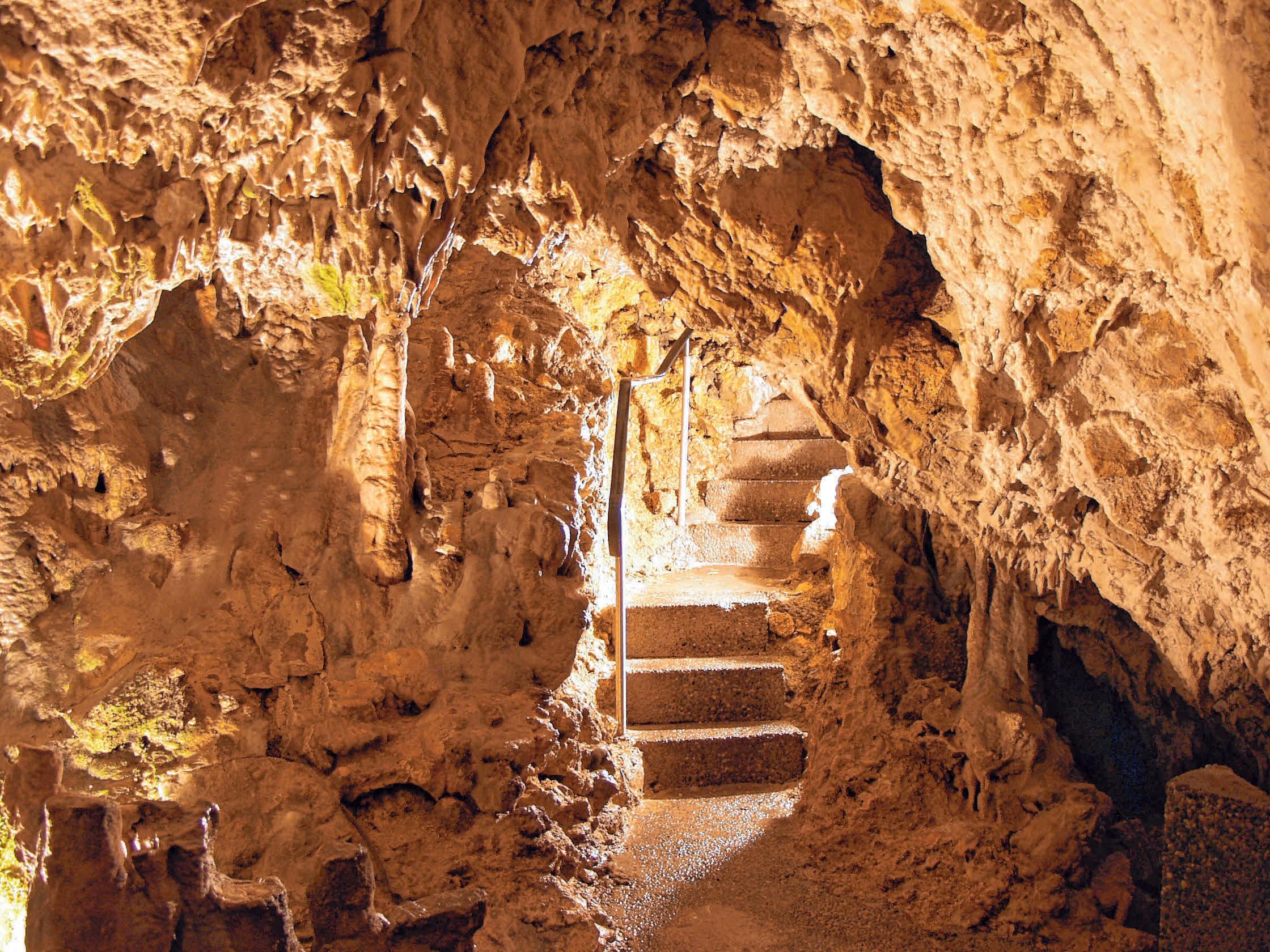 Der Höhlentag wird offiziell an der Kolbinger Höhle eröffnet. Der Höhlentag wird offiziell an der Kolbinger Höhle eröffnet.