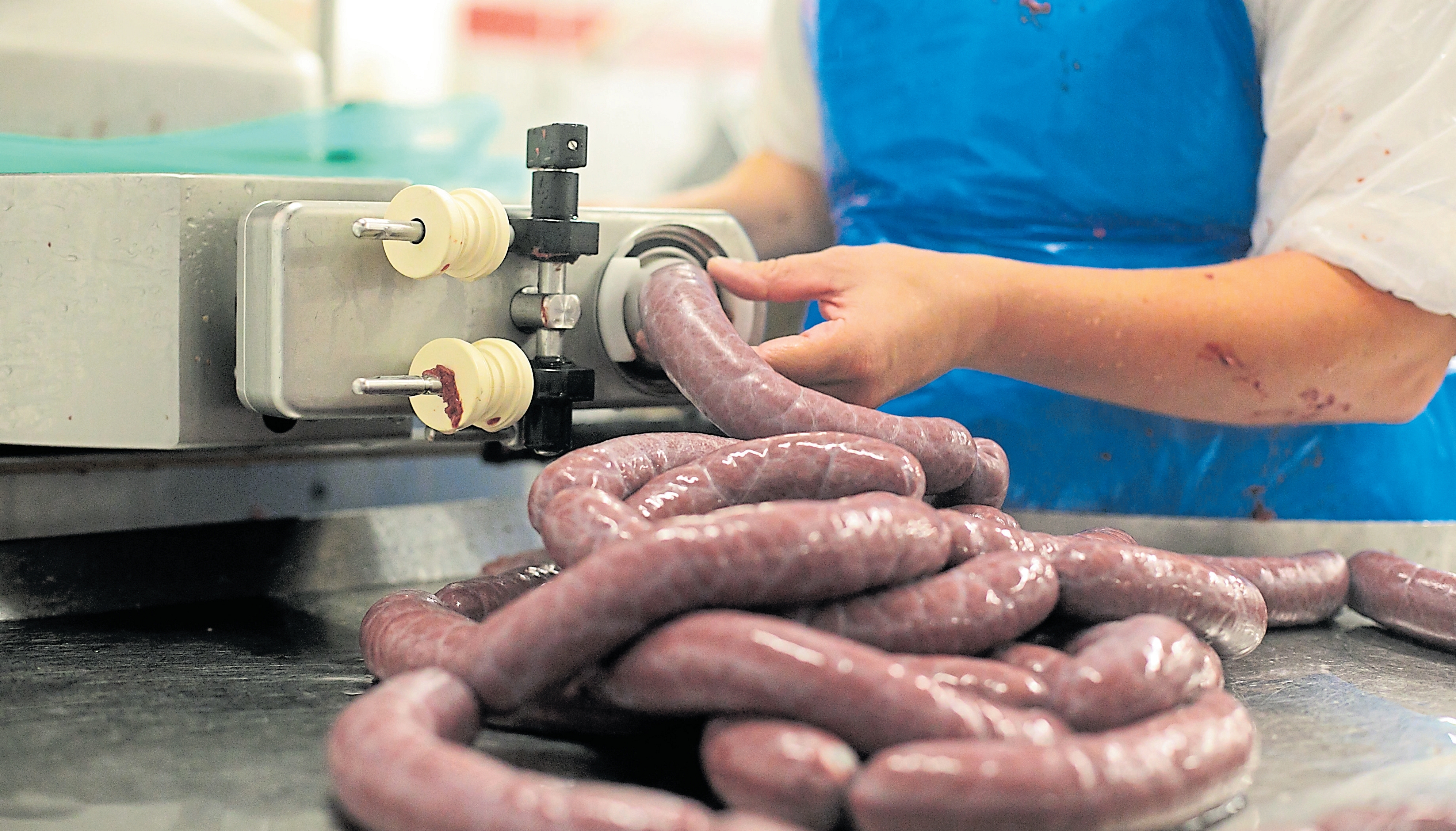 Nachdem die Träipenmasse in den Naturdarm gefüllt wurde, werden die Würste aufgehangen und in einen großen Dampfgarer geschoben, wo sie bei genau festgelegter Temperatur und Dauer gegart werden. Nachdem die Träipenmasse in den Naturdarm gefüllt wurde, werden die Würste aufgehangen und in einen großen Dampfgarer geschoben, wo sie bei genau festgelegter Temperatur und Dauer gegart werden.