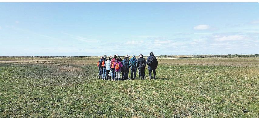 Weites Land: Knapp drei Stunden dauert die Tour durch die Salzwiesen. Weites Land: Knapp drei Stunden dauert die Tour durch die Salzwiesen.