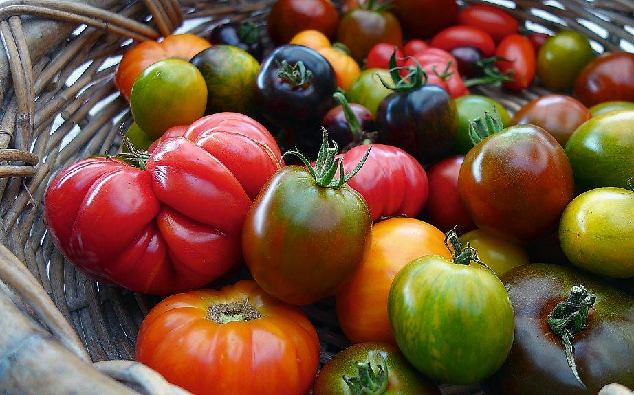 Fruchtige Tomaten in allen Farben überzeugen in der Vitalküche durch Optik, Geschmack und Wirkstoffe.