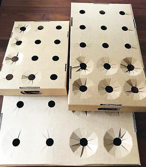 Die drei neuen Wellpappe-Trays. Die drei neuen Wellpappe-Trays.