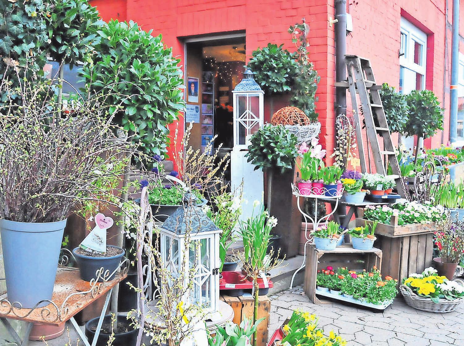 Der Blumenladen an der Ippenstedter Straße 18 in Jeinsen besteht bereits seit zehn Jahren. Der Blumenladen an der Ippenstedter Straße 18 in Jeinsen besteht bereits seit zehn Jahren.