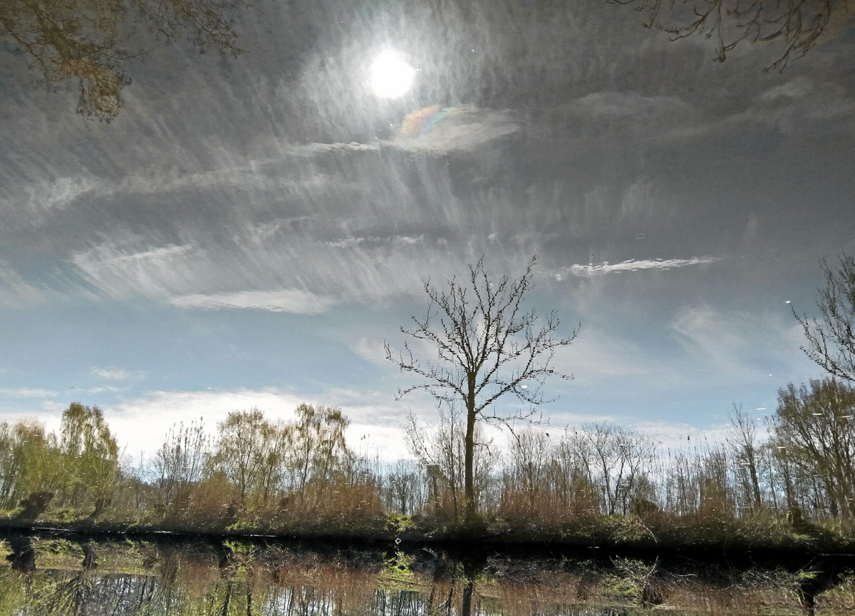 Durch die Linse Image 7 Durch die Linse Image 7