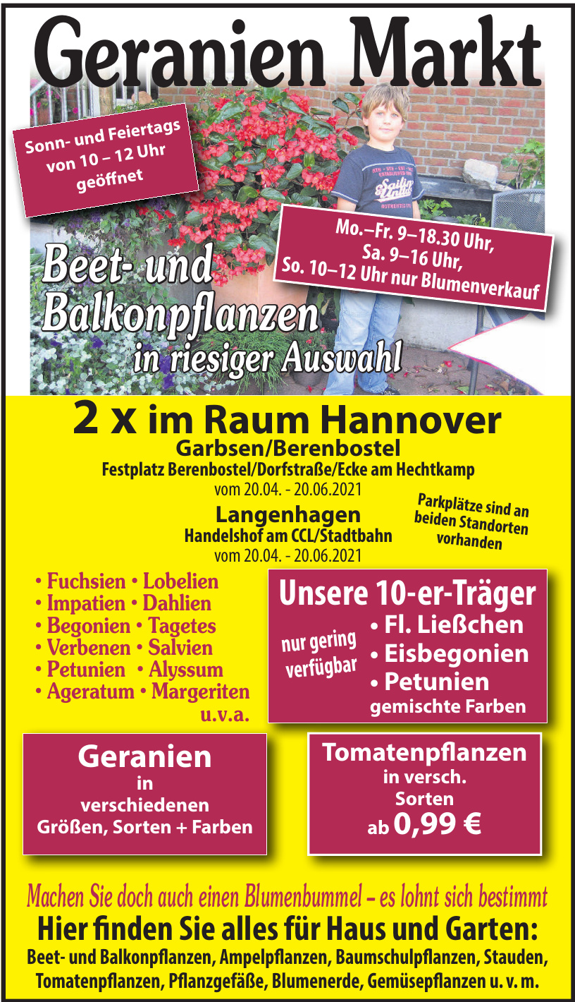 Geranien Markt Geranien Markt