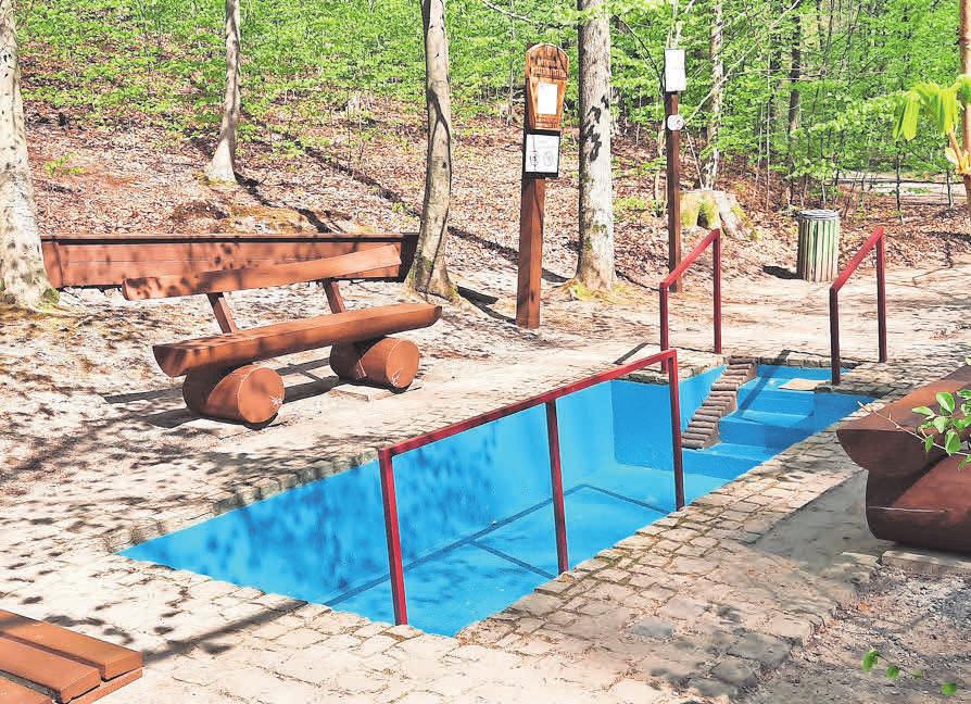Die Wassertretstelle des Kneipp-Vereins gehört zu den Zielen im Deister. Die Wassertretstelle des Kneipp-Vereins gehört zu den Zielen im Deister.