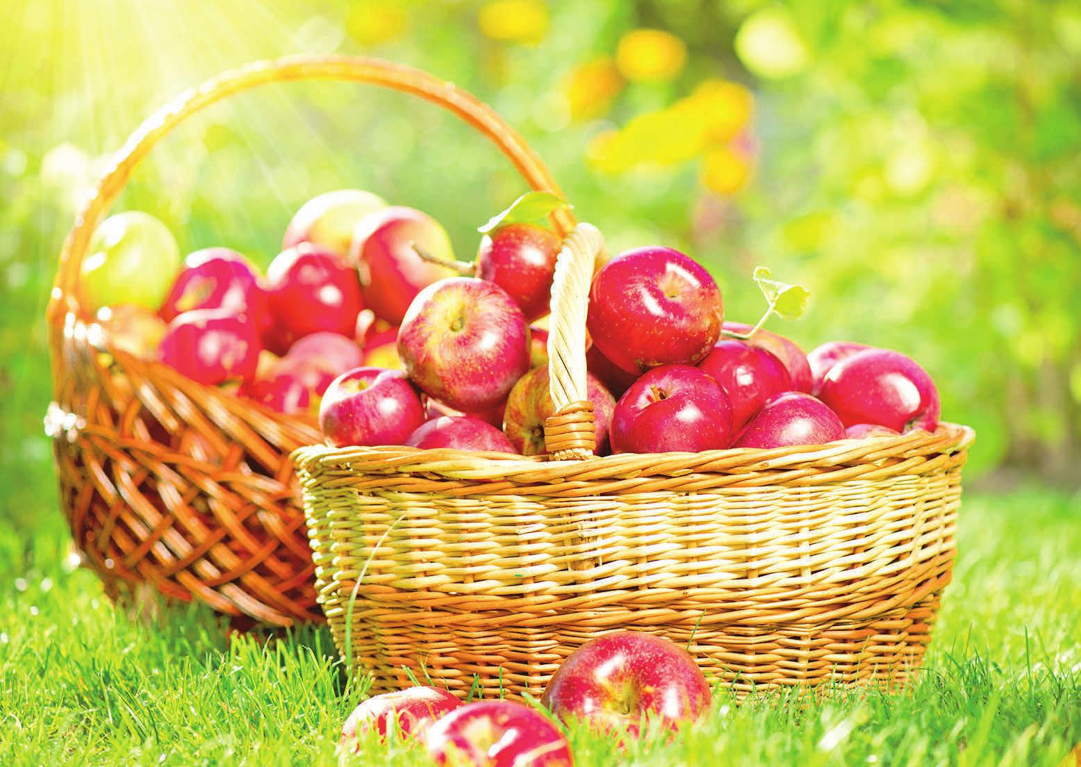 Passend zur Saison gibt es leckeren heißen Apfelsaft für die Besucher. Foto: Subbotina/123RF Passend zur Saison gibt es leckeren heißen Apfelsaft für die Besucher. Foto: Subbotina/123RF