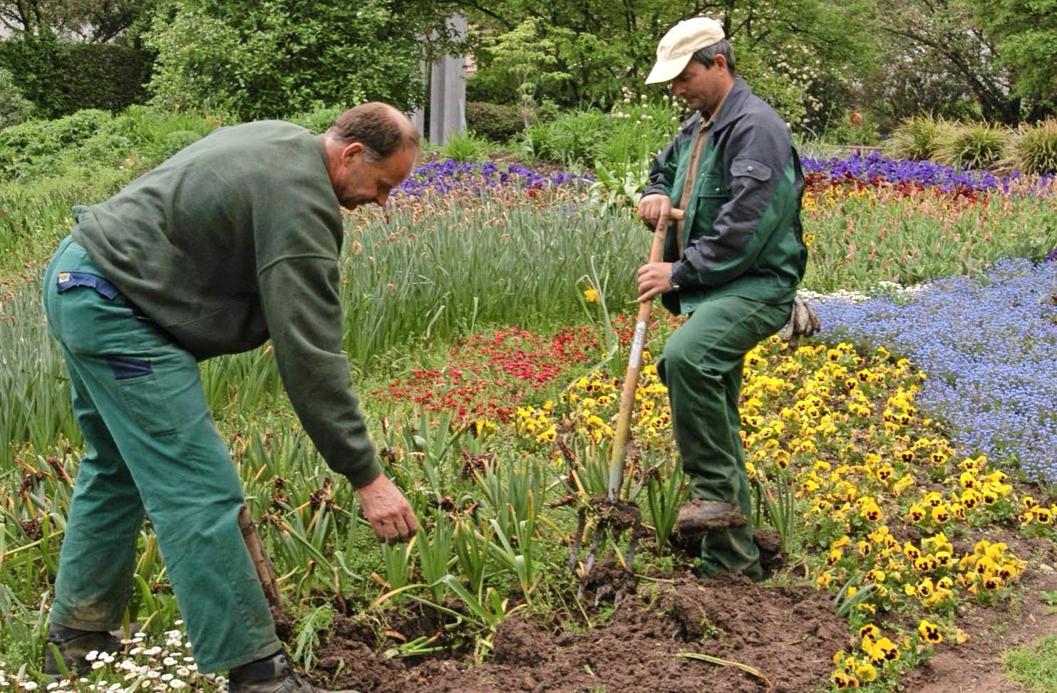 Ab April 2020 können Neckarsulmer eine Patenschaft für städtische Grünflächen übernehmen. Damit soll nicht nur der Bauhof entlastet, sondern auch für mehr Sauberkeit im öffentlichen Raum gesorgt werden. Foto: Archiv/Heck Ab April 2020 können Neckarsulmer eine Patenschaft für städtische Grünflächen übernehmen. Damit soll nicht nur der Bauhof entlastet, sondern auch für mehr Sauberkeit im öffentlichen Raum gesorgt werden. Foto: Archiv/Heck