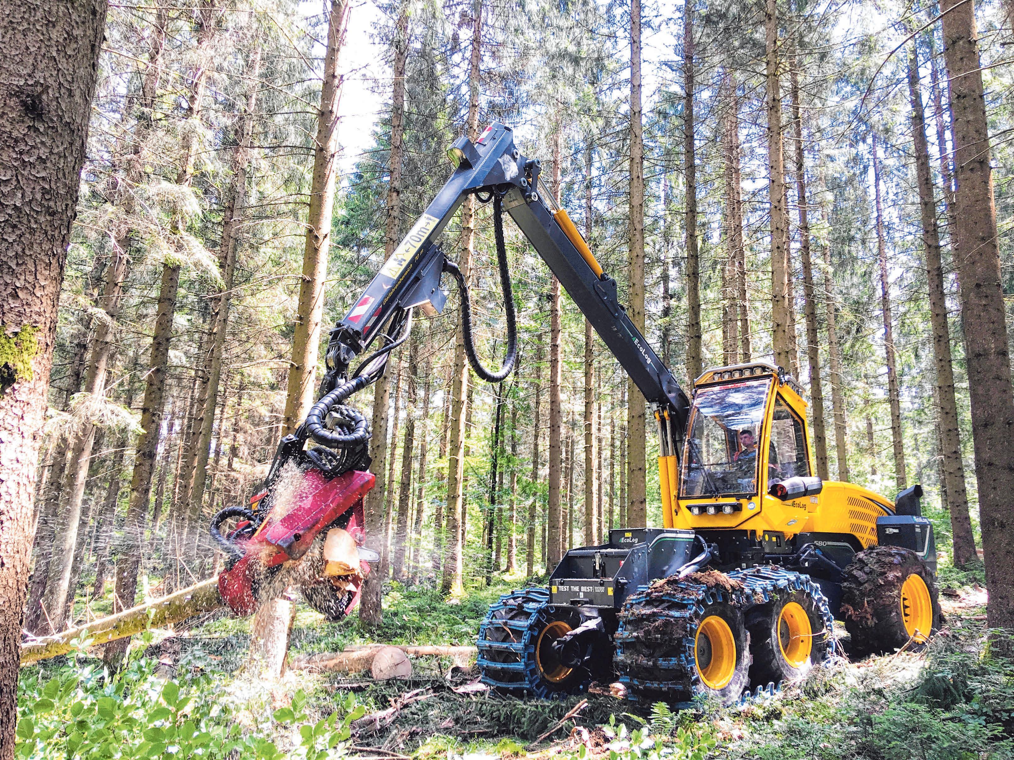 Ein Harvester von WFW bei der Waldarbeit. Ein Harvester von WFW bei der Waldarbeit.