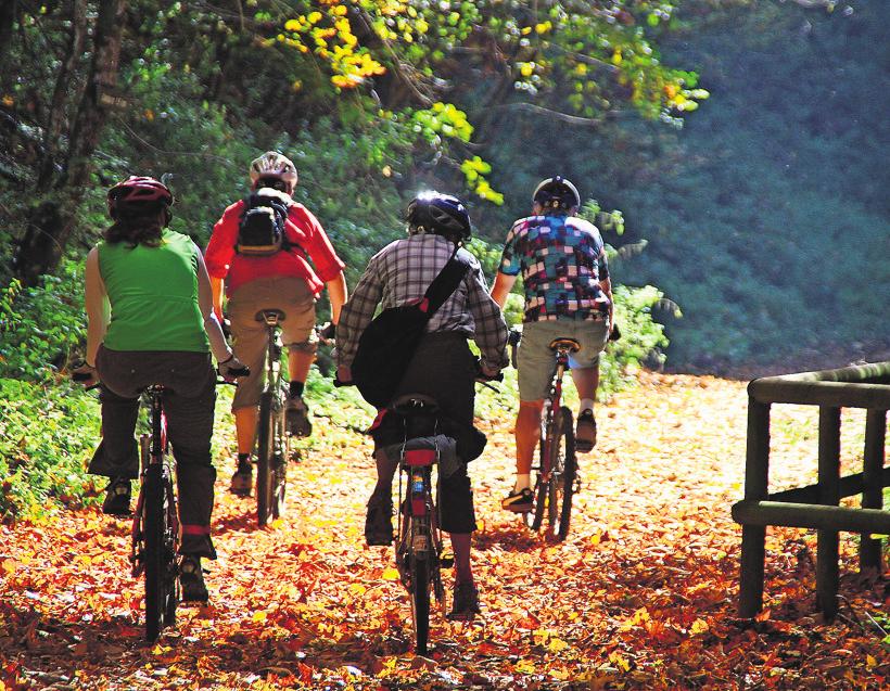 Radfahren ist familientauglich und bis in den Herbst hinein möglich. Foto: z/Albrecht E. Arnold/pixelio.de Radfahren ist familientauglich und bis in den Herbst hinein möglich. Foto: z/Albrecht E. Arnold/pixelio.de