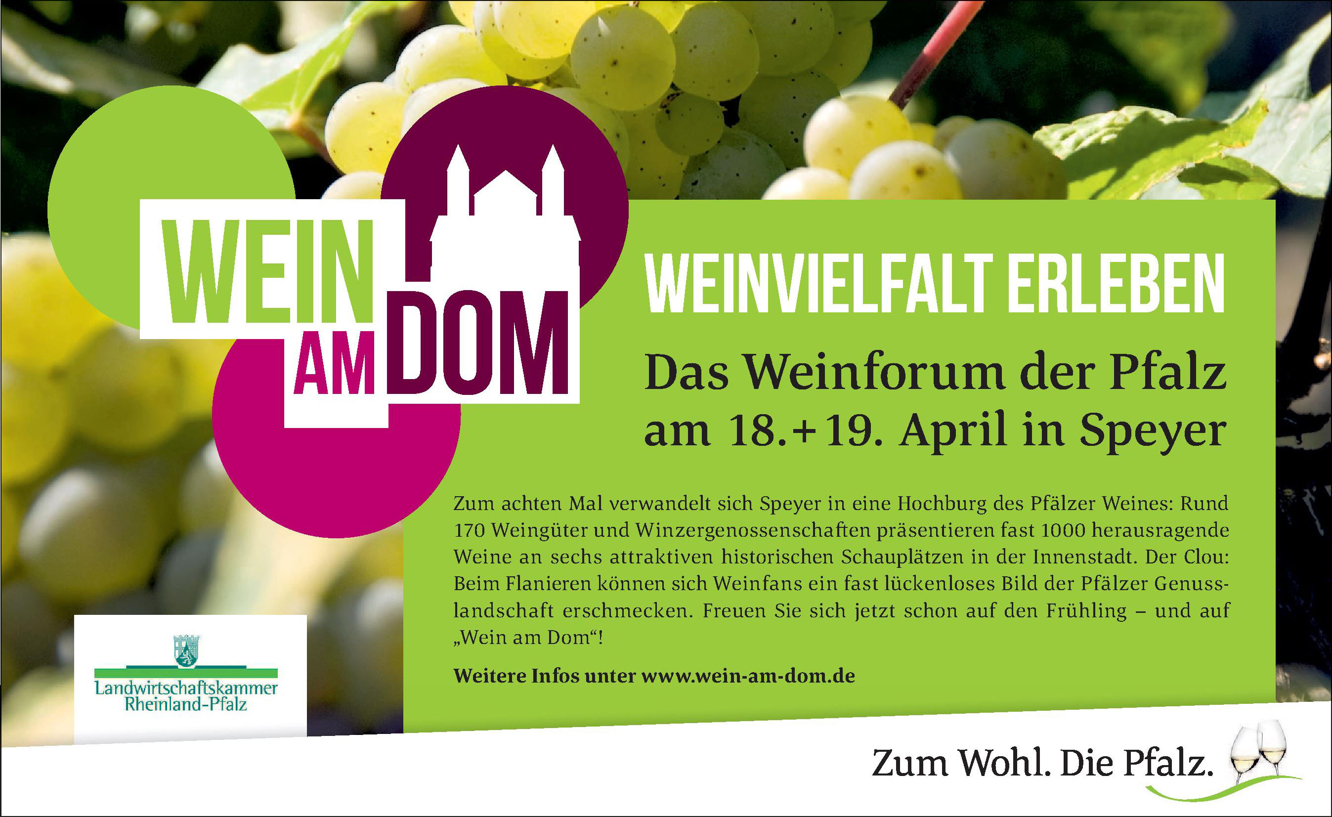 Wein am Dom Wein am Dom