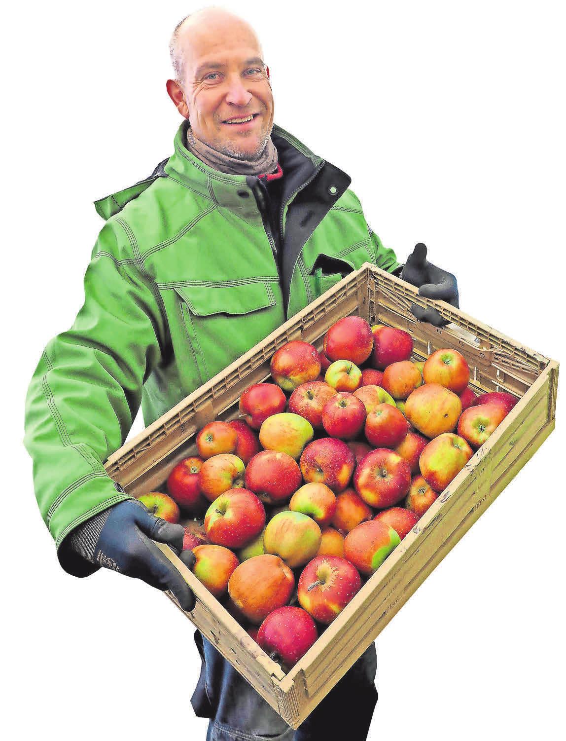 Im Hofladen des Werderaner Obstbauern Stefan Lindicke gibt es eine große Auswahl an Äpfeln. Foto: Brigitta Sonntag Im Hofladen des Werderaner Obstbauern Stefan Lindicke gibt es eine große Auswahl an Äpfeln. Foto: Brigitta Sonntag