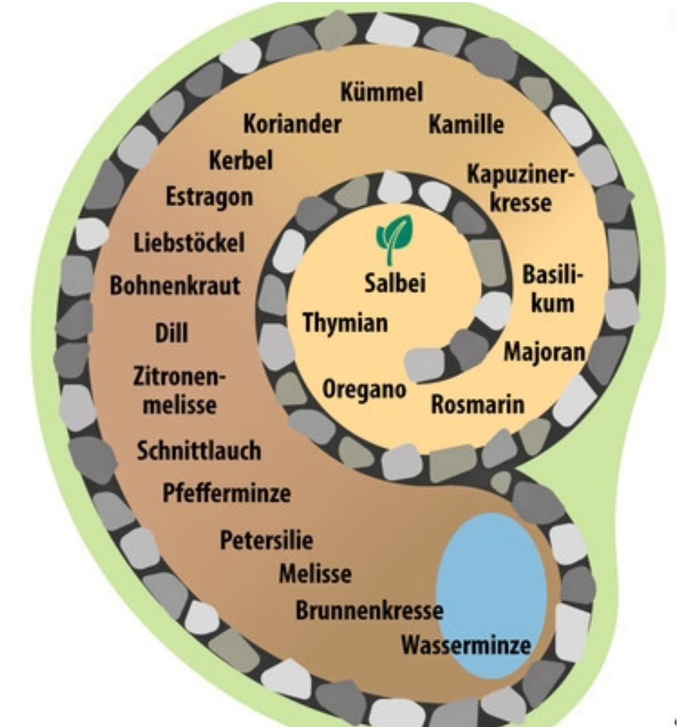 Würzige Pflanzen in Szene gesetzt Garten Stimme