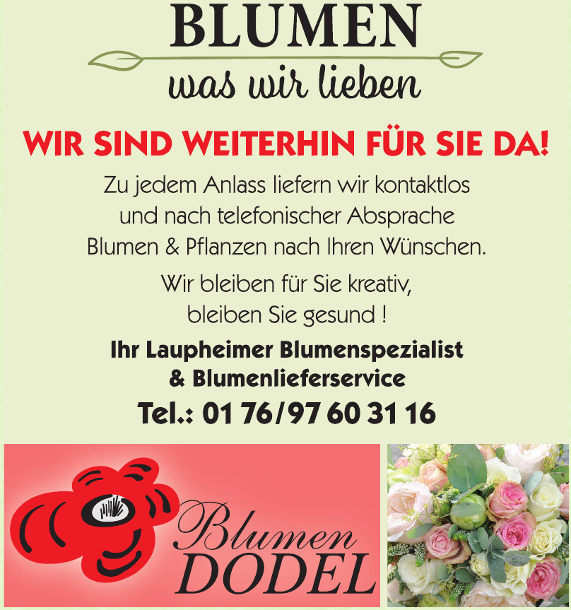 Blumen Dodel Blumen Dodel