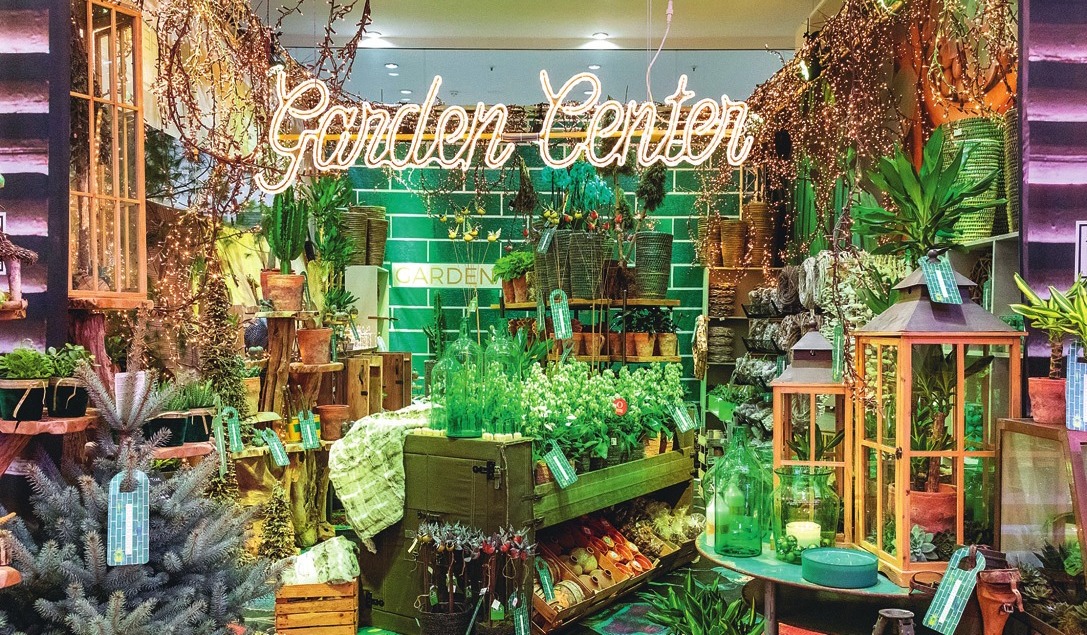 Flächige Präsentation von botanischen Kalanchoe im Gartencenter-Store. Flächige Präsentation von botanischen Kalanchoe im Gartencenter-Store.