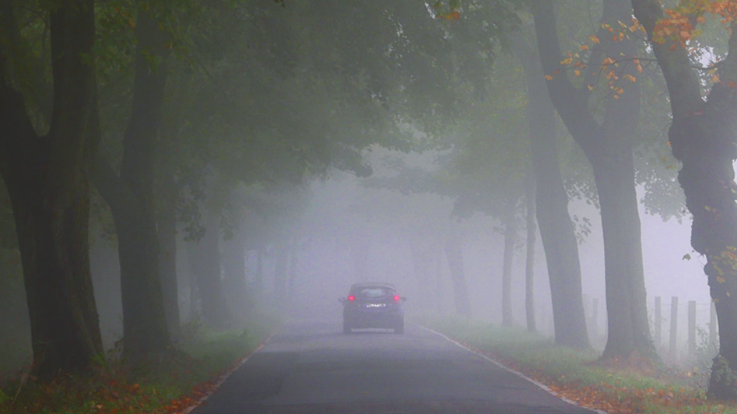 Typische Herbsterscheinungen wie Nebel und starke Winde erschweren Autofahrern das Leben. Die Sicht ist eingeschränkt, Äste können herabfallen. Foto: ADAC Presse  