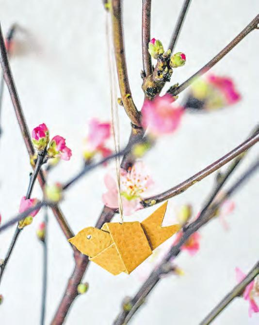 So kommt der Frühling in die Stube Image 3 So kommt der Frühling in die Stube Image 3