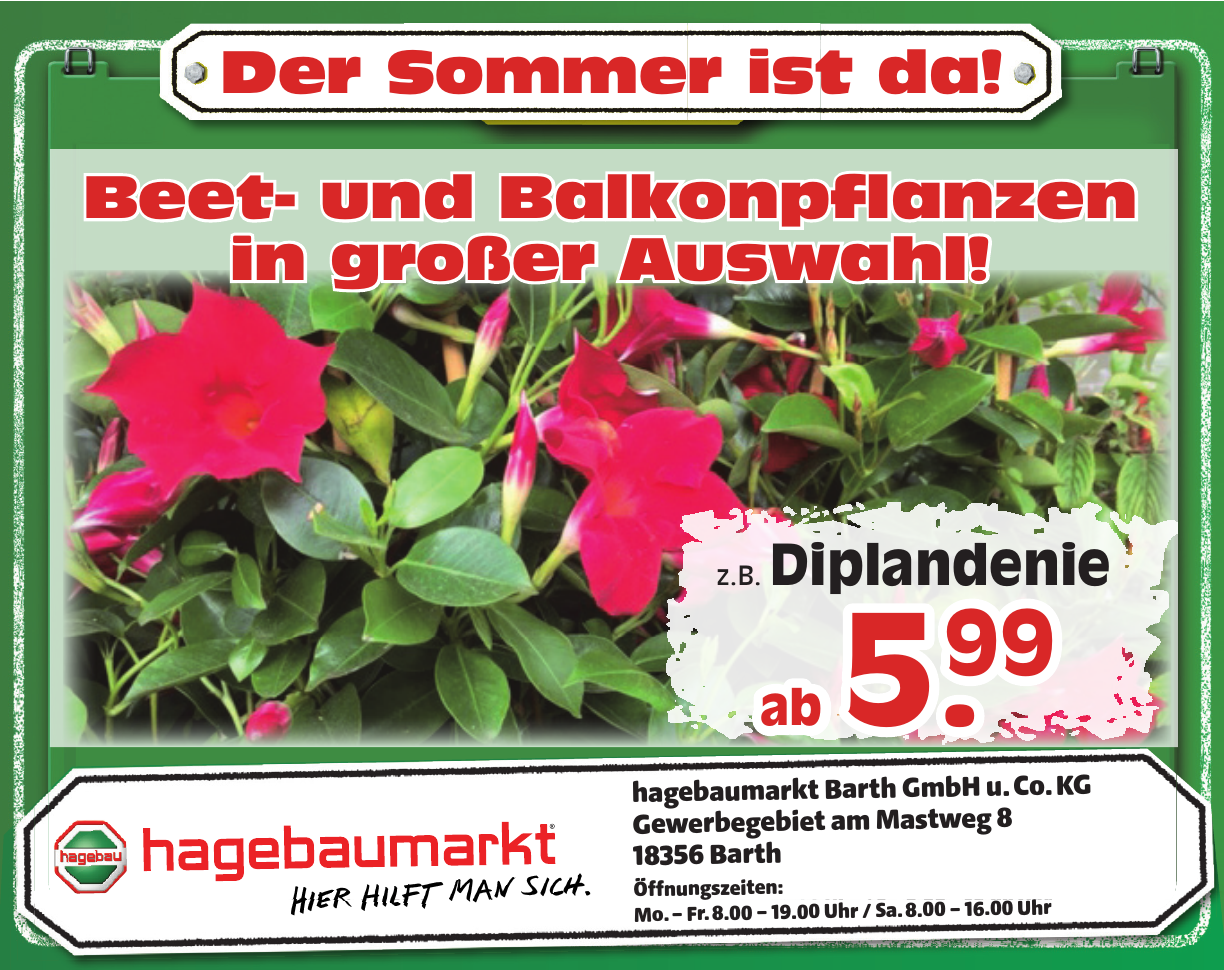 hagebaumarkt Barth GmbH u. Co. KG hagebaumarkt Barth GmbH u. Co. KG