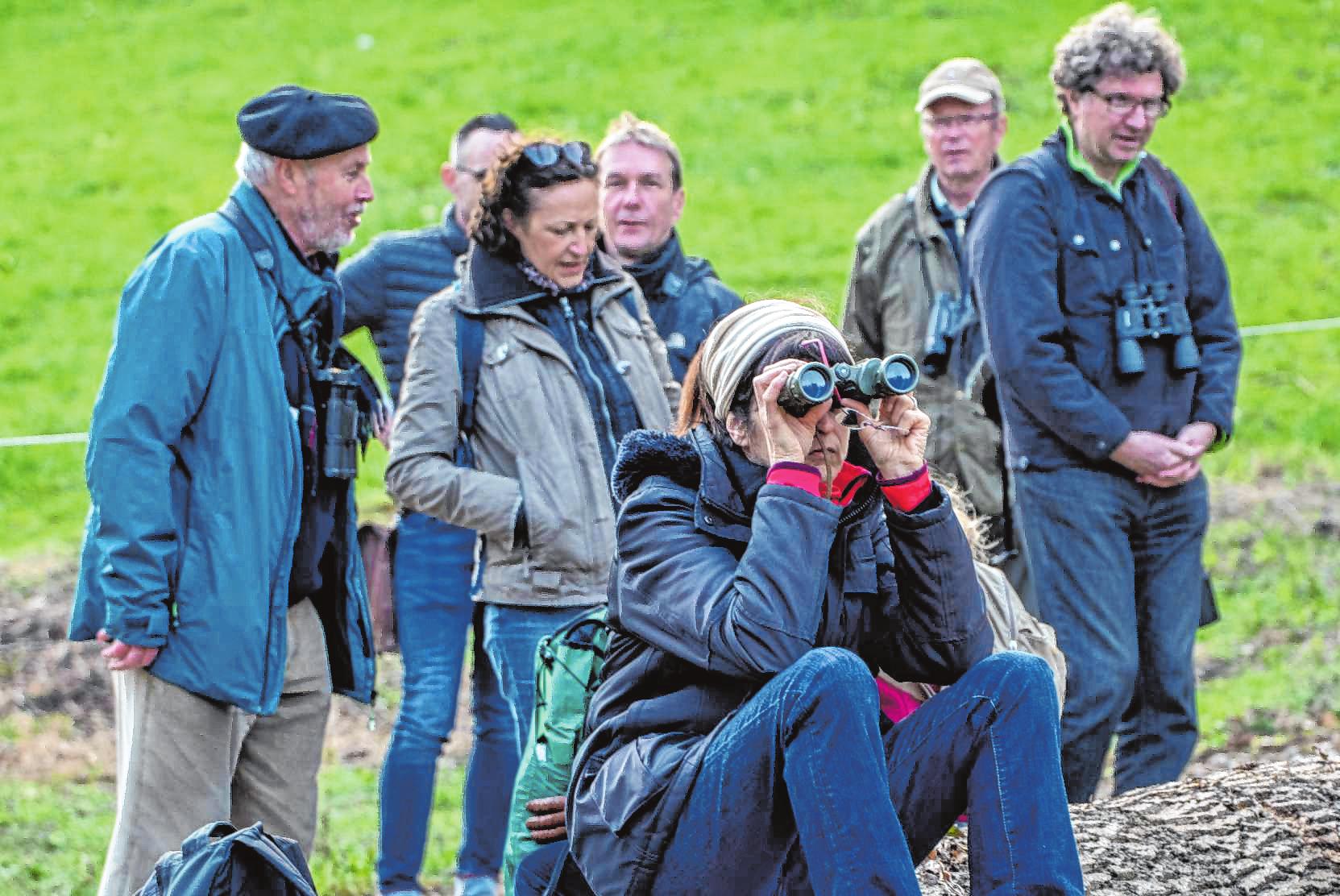 Stephan Schäfer (l.), Vorsitzender des Nabu Bensheim/Zwingenberg, führte die Vogelwanderung in Wilmshausen. Bild: Thomas Neu Stephan Schäfer (l.), Vorsitzender des Nabu Bensheim/Zwingenberg, führte die Vogelwanderung in Wilmshausen. Bild: Thomas Neu