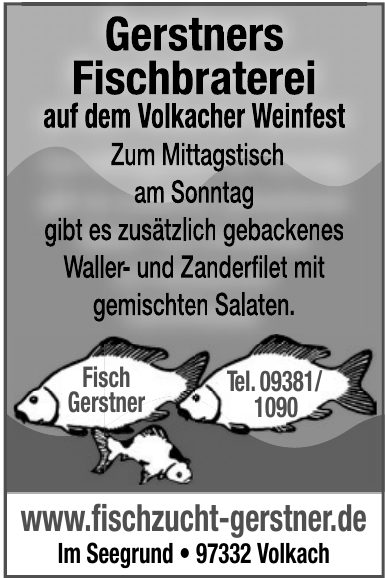 Fisch Gerstner Fisch Gerstner