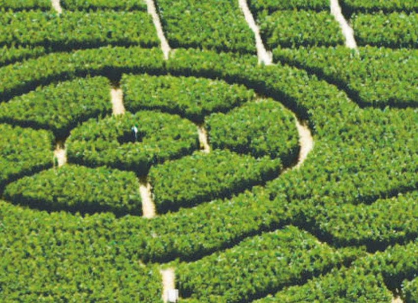 Das Labyrinth bietet Kindern, Jugendlichen und Erwachsenen reichlich Spannung und Aktion. Bild: Hegehof Das Labyrinth bietet Kindern, Jugendlichen und Erwachsenen reichlich Spannung und Aktion. Bild: Hegehof