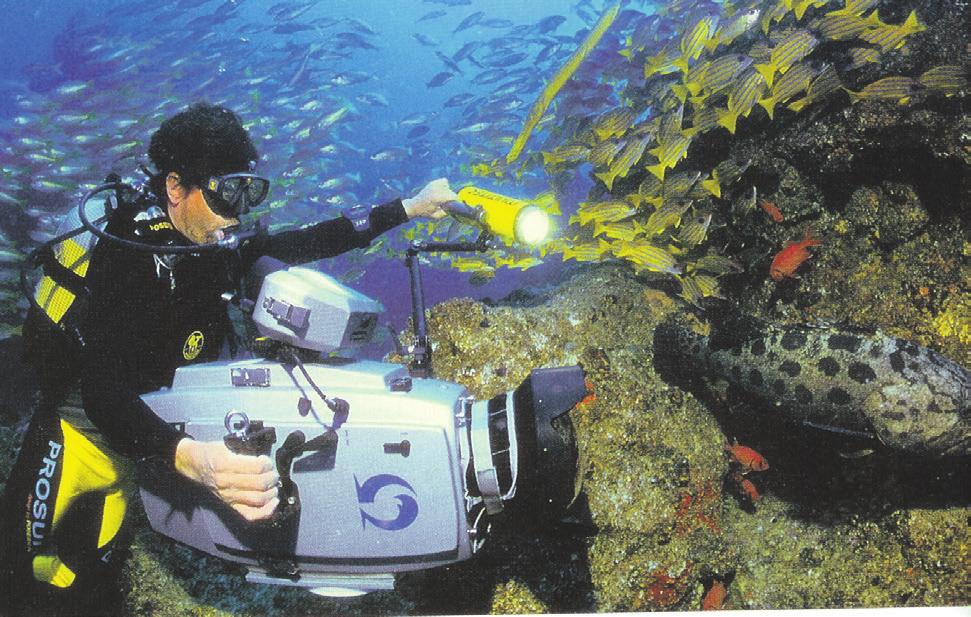 Seit über 30 Jahren liefert Behrend spannende Tierdokumentationen auch aus der Unterwasserwelt