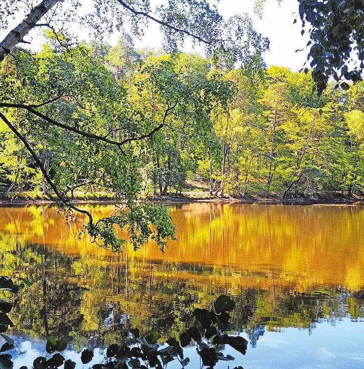 In Herbstfarben getaucht: Retzbergweiher. Foto: Markus Huwig In Herbstfarben getaucht: Retzbergweiher. Foto: Markus Huwig