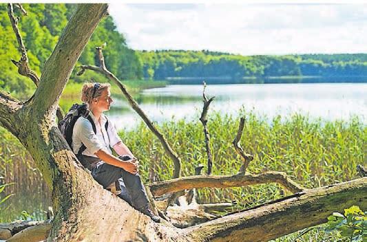 Rast am Wummsee: Wander- und Radwege führen durch das Gebiet. Rast am Wummsee: Wander- und Radwege führen durch das Gebiet.